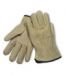 Top Grain Unlined Pigskin Leather Driver Gloves, (70-318)