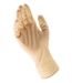 Latex Single Use Powder-Free Gloves, (100-323010)